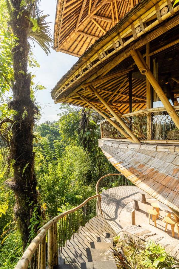 Eclipse House 4Bds Eco Bamboo House Pool Riverview Bringkit Eksteriør billede