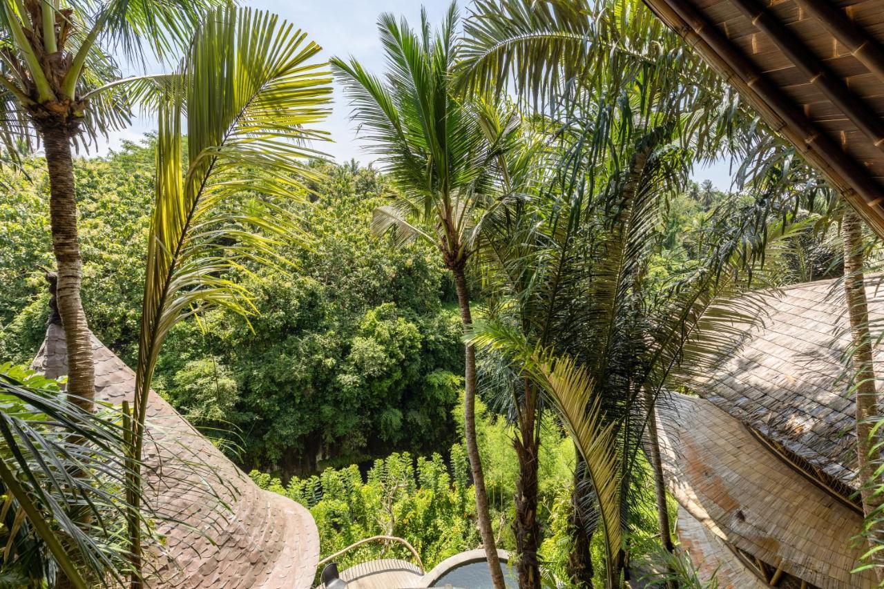 Eclipse House 4Bds Eco Bamboo House Pool Riverview Bringkit Eksteriør billede