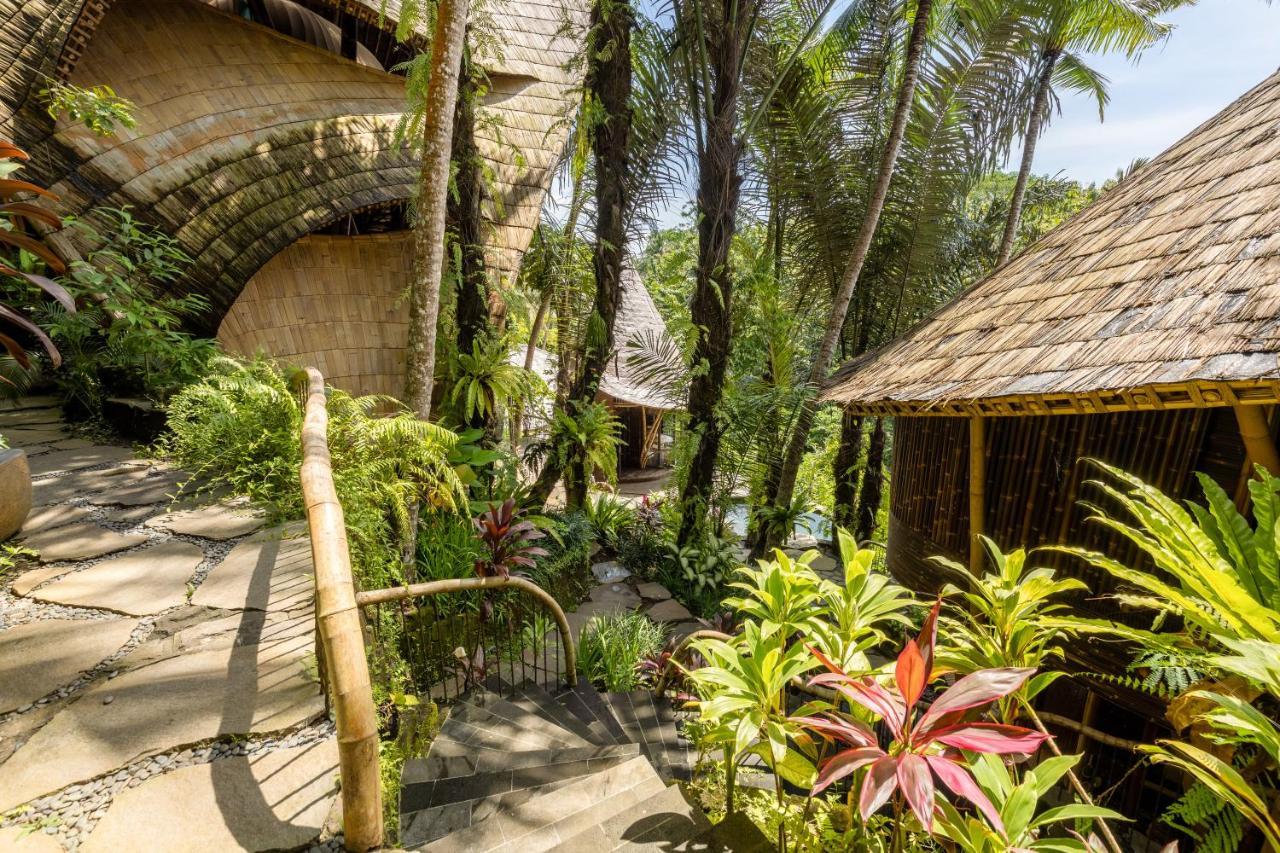 Eclipse House 4Bds Eco Bamboo House Pool Riverview Bringkit Eksteriør billede