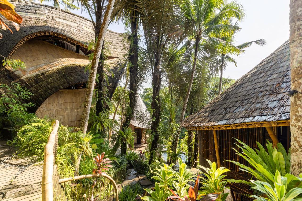 Eclipse House 4Bds Eco Bamboo House Pool Riverview Bringkit Eksteriør billede